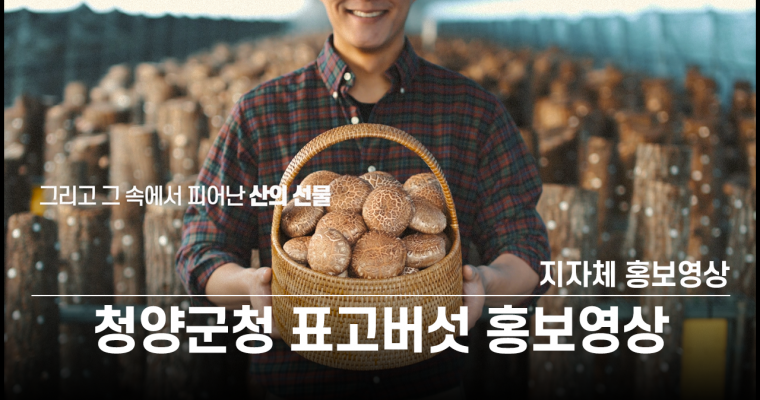 [홍보영상] 지자체 홍보영상 청양군청 표고버섯